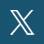 x-icon